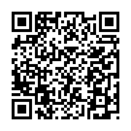 QR code for 3848690