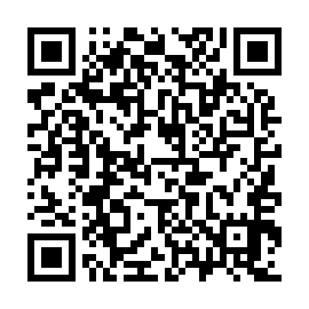 QR code for 384955
