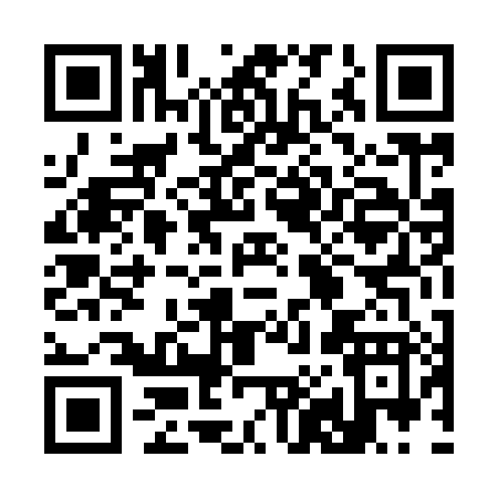 QR code for 38498
