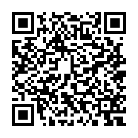 QR code for 3851163