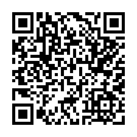 QR code for 38529