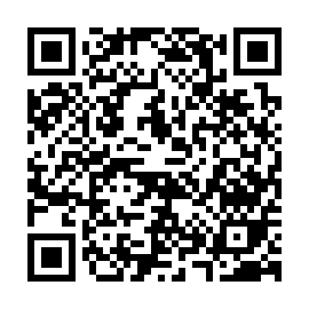 QR code for 38535