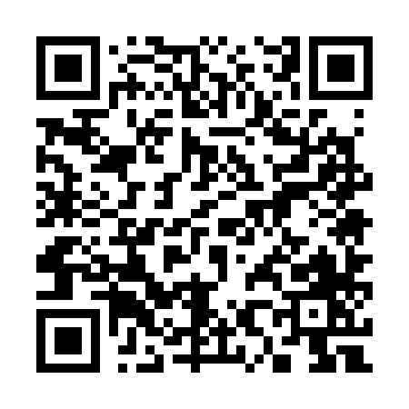 QR code for 38538