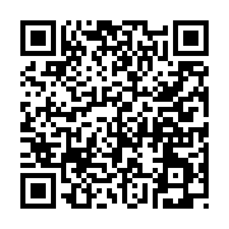 QR code for 38540