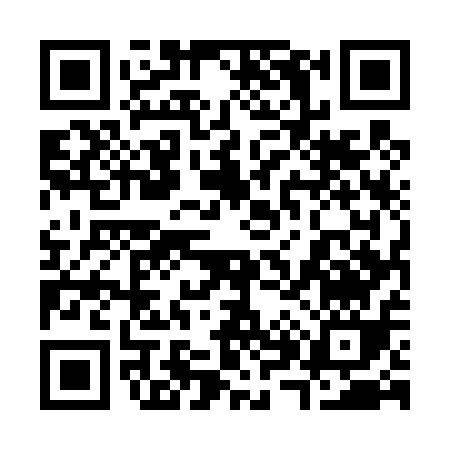 QR code for 38541