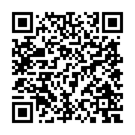 QR code for 38542