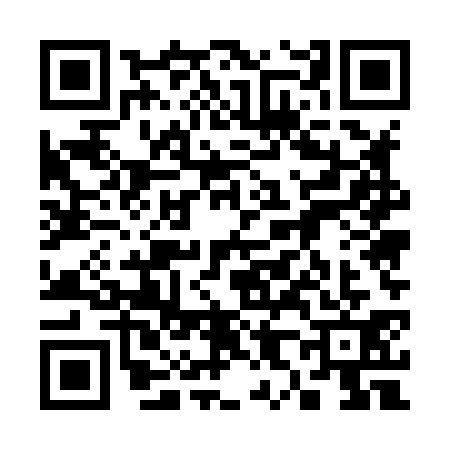 QR code for 3858318