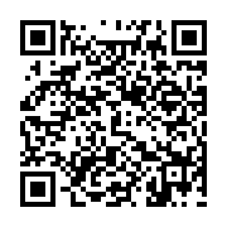 QR code for 385839