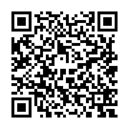 QR code for 3859293