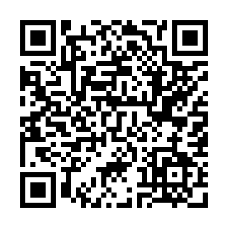 QR code for 38597