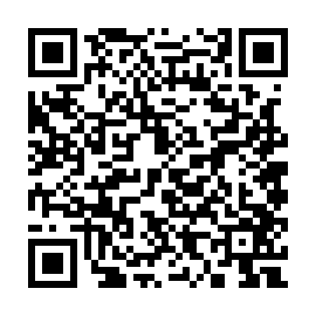 QR code for 3861461