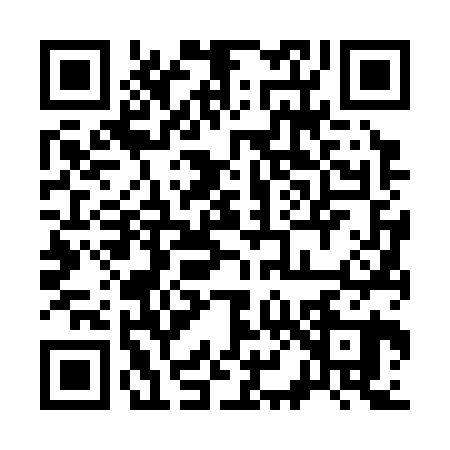 QR code for 3863207