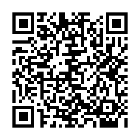QR code for 3863687