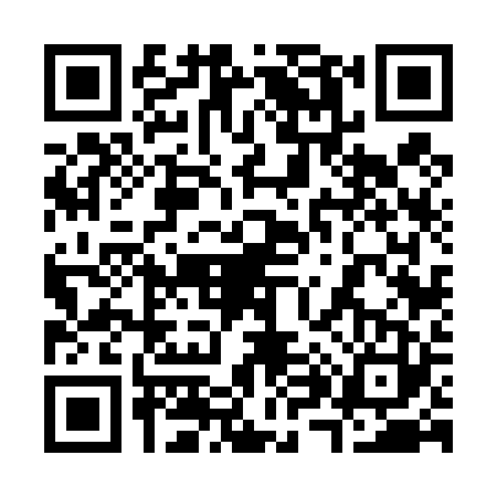 QR code for 3864234