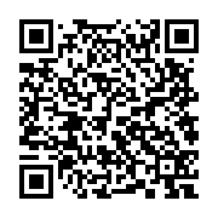 QR code for 386536