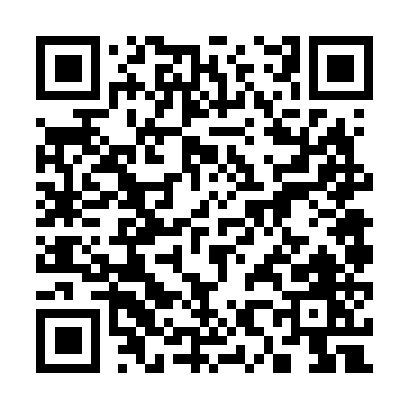 QR code for 38665
