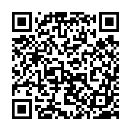 QR code for 386663
