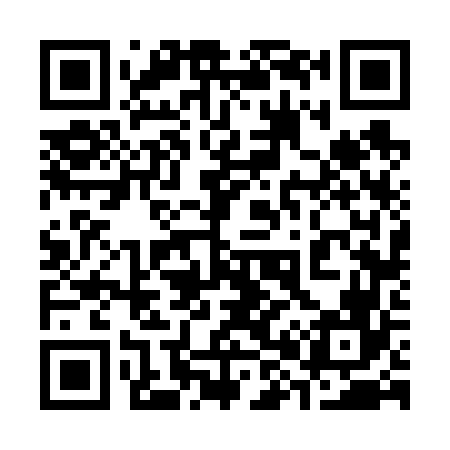 QR code for 386666