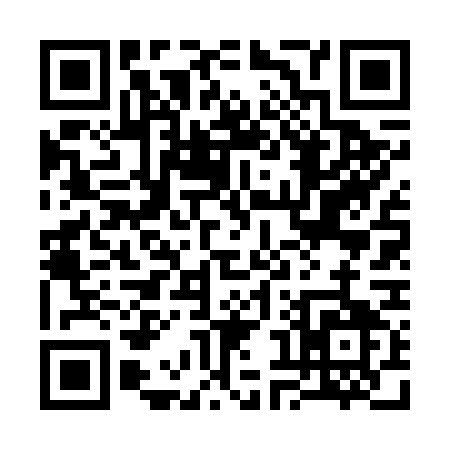 QR code for 38667