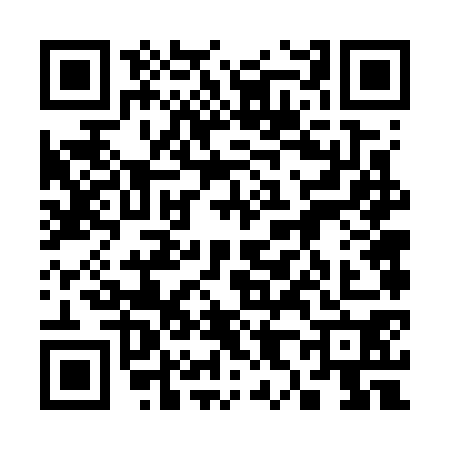 QR code for 3867705
