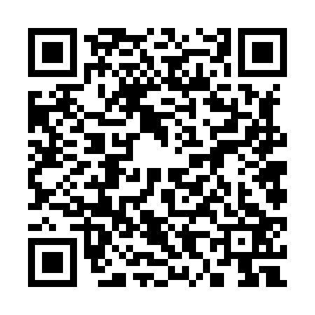QR code for 3868231