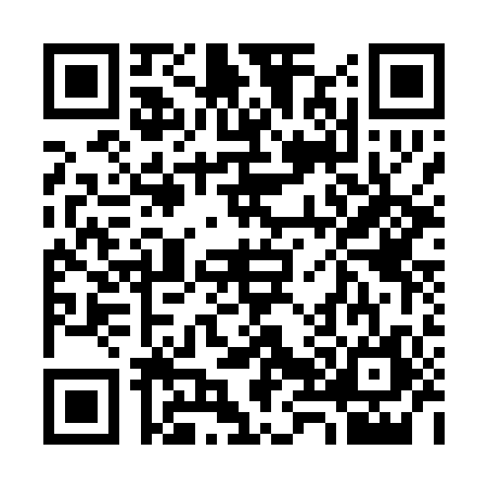 QR code for 3870068