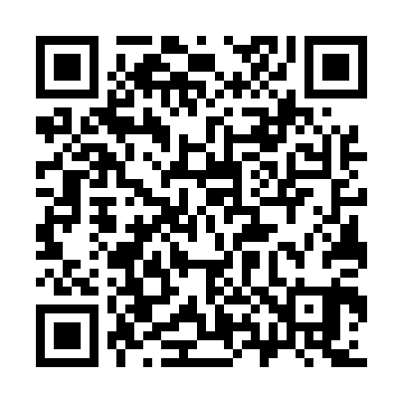 QR code for 387501
