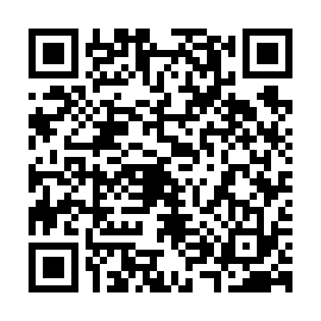 QR code for 3876336