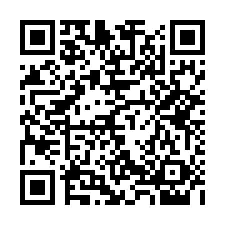 QR code for 3877593