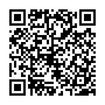QR code for 3877629