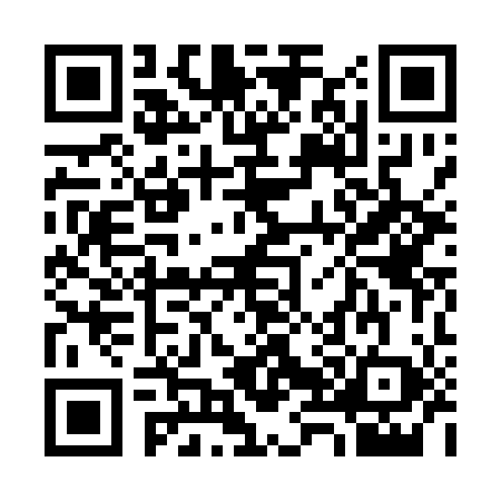 QR code for 3881083