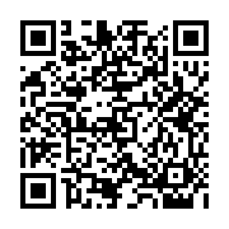 QR code for 3882604