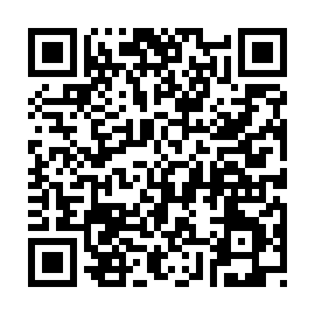 QR code for 38858