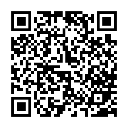 QR code for 38868