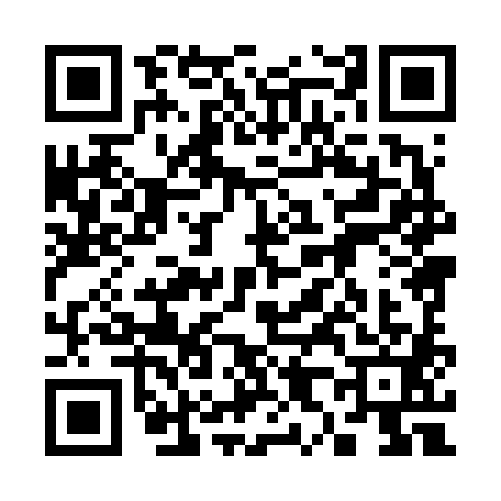 QR code for 3886811