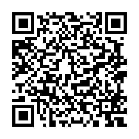 QR code for 3894890