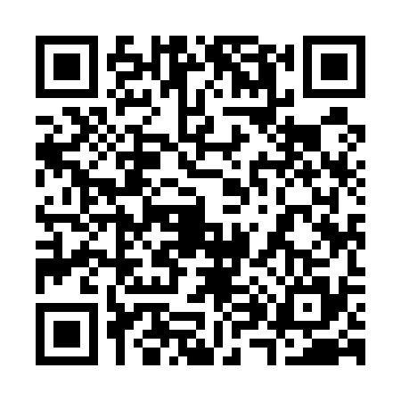 QR code for 3895357