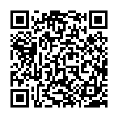 QR code for 390233