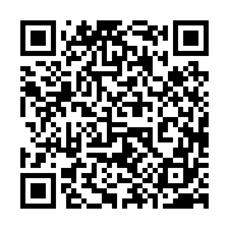 QR code for 390272