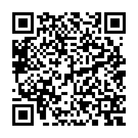 QR code for 3903243