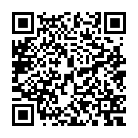 QR code for 3903370