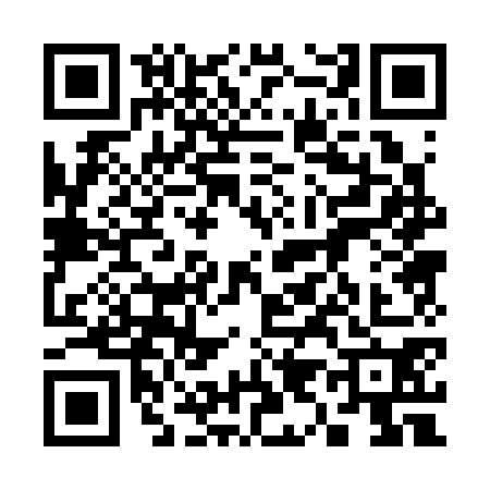 QR code for 3903703