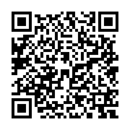 QR code for 3905207