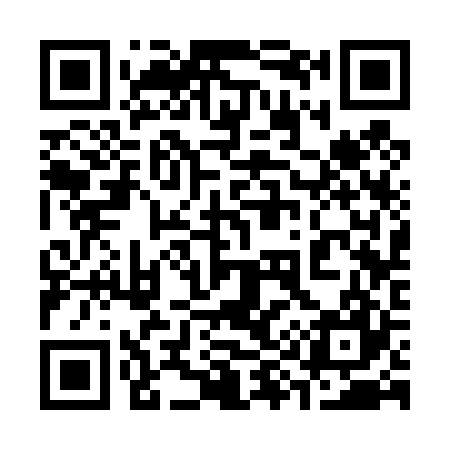 QR code for 393427