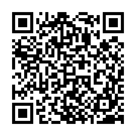 QR code for 393564