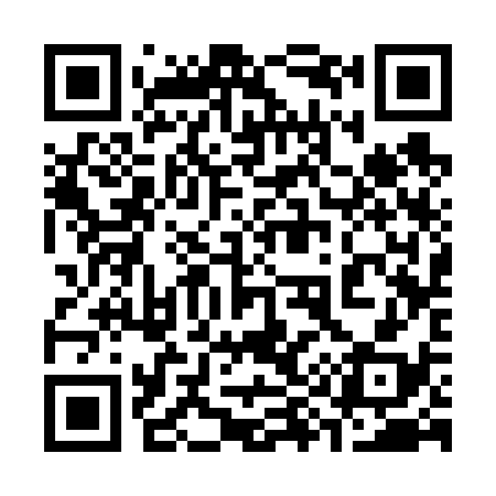 QR code for 393638