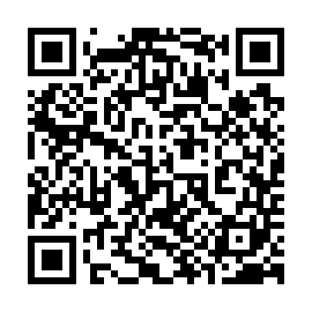 QR code for 393741