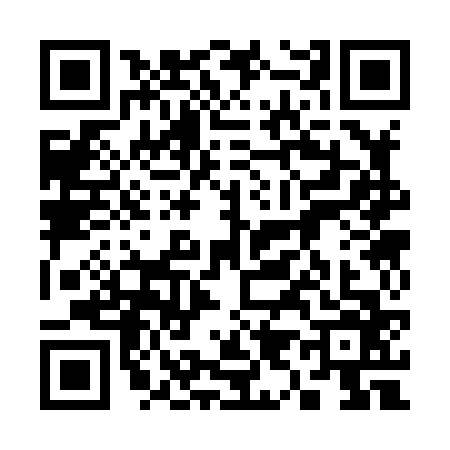 QR code for 3938662