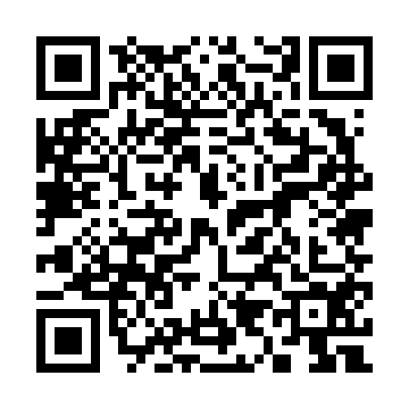 QR code for 3956542