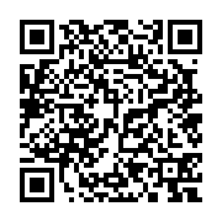 QR code for 3970306